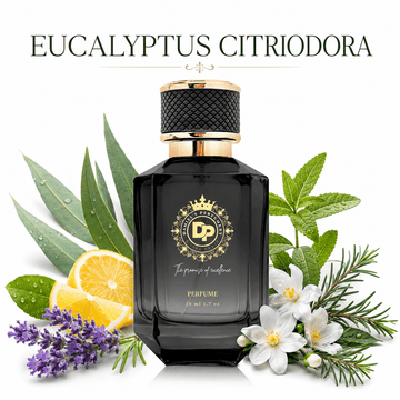 EUCALYPTUS CITRIODORA - Daniel’s Perfumery & lifestyle
